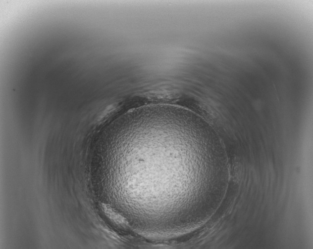 X0000060581297200511101645