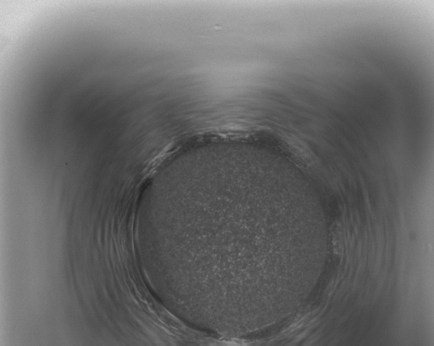 X0000060581298200511101645