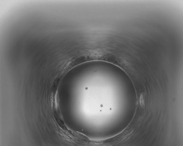 X0000060581299200511101645