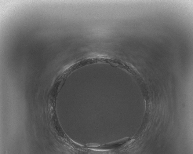 X0000060581303200511101645