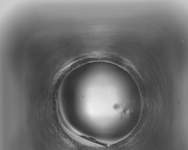 X0000060581304200511101645