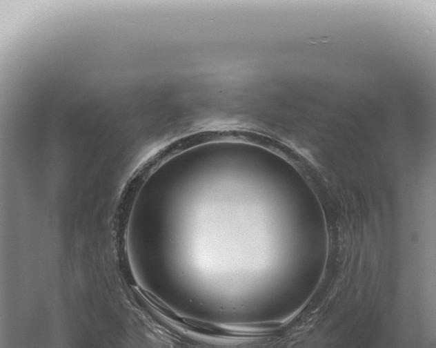 X0000060581311200511101645