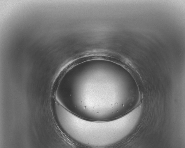 X0000060581312200511101645