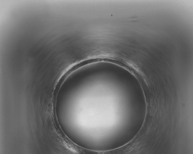 X0000060581316200511101645