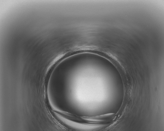 X0000060581317200511101645