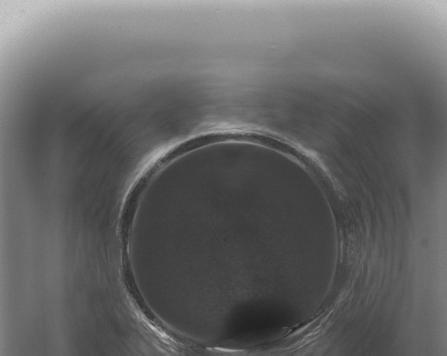 X0000060581319200511101645