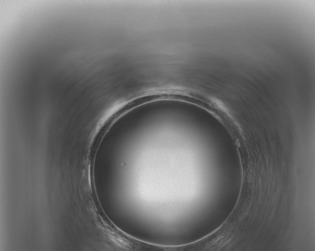 X0000060581320200511101645