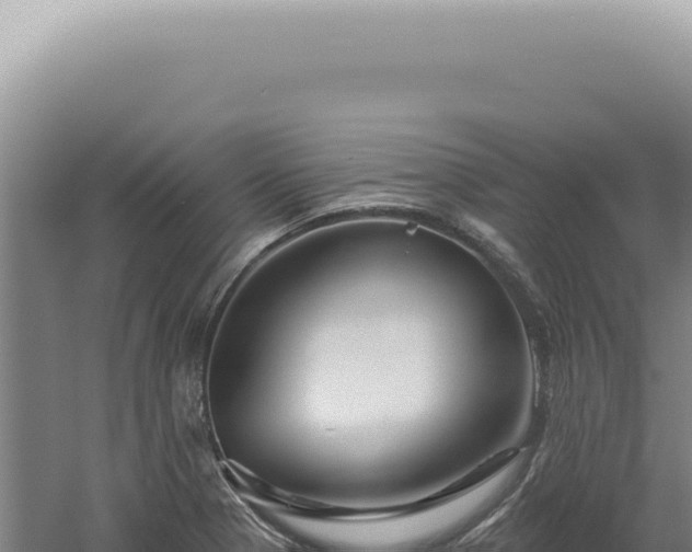 X0000060581321200511101645