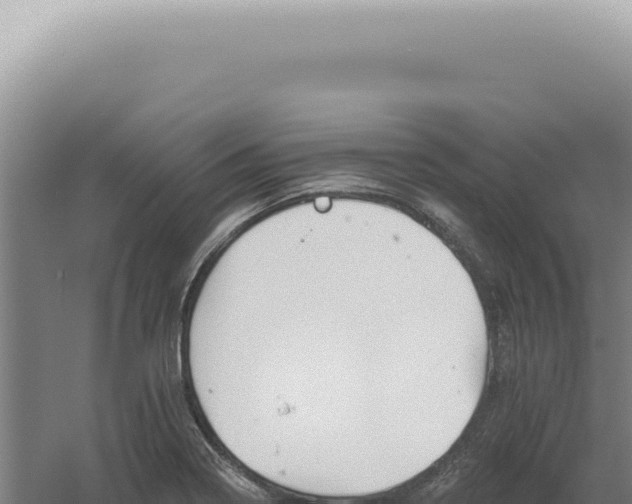 X0000060581322200511101645