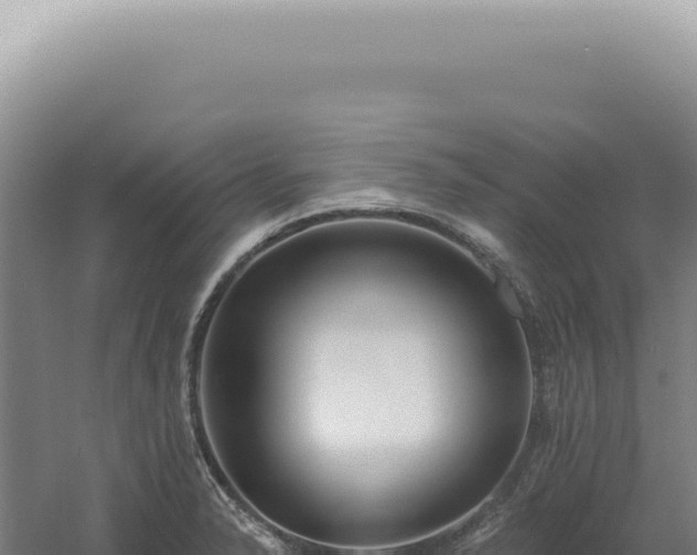 X0000060581326200511101645