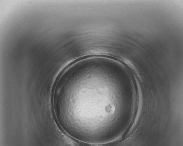 X0000060581331200511101646