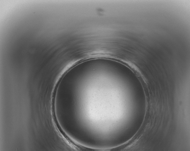 X0000060581333200511101646