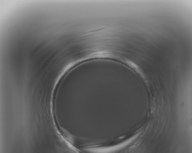 X0000060581334200511101646