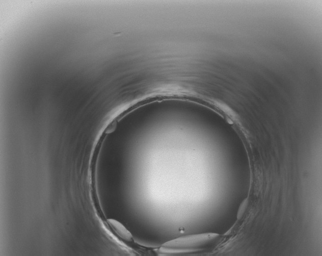 X0000060581335200511101646