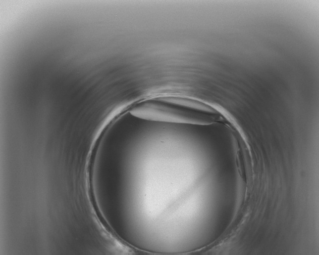 X0000060581341200511101646