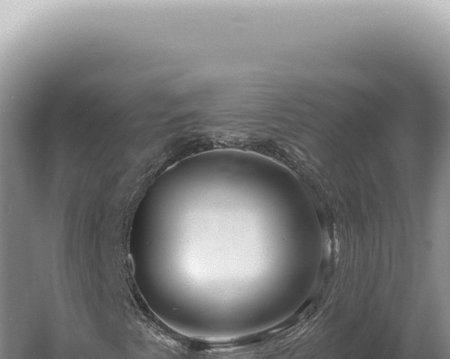 X0000060581345200511101645