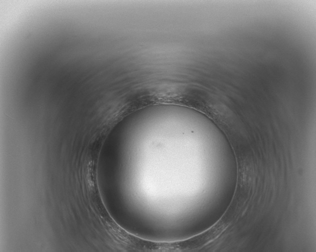 X0000060581346200511101645