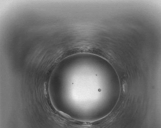 X0000060581347200511101645