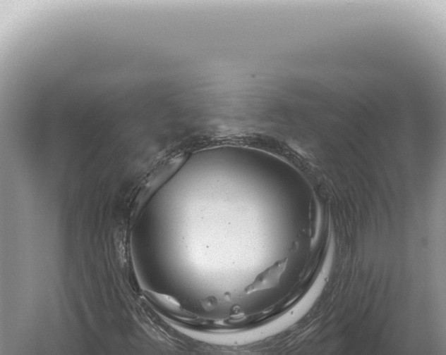 X0000060581348200511101645