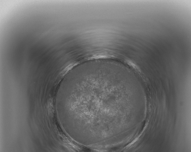 X0000060581353200511101645