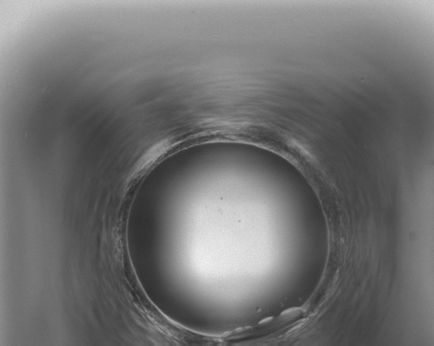 X0000060581354200511101645