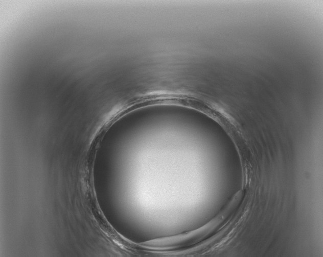 X0000060581357200511101645