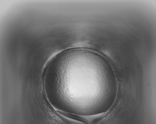 X0000060581358200511101645