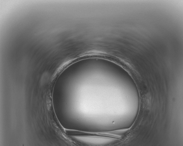 X0000060581363200511101645