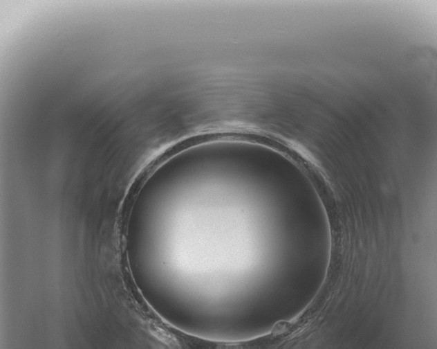 X0000060581364200511101645