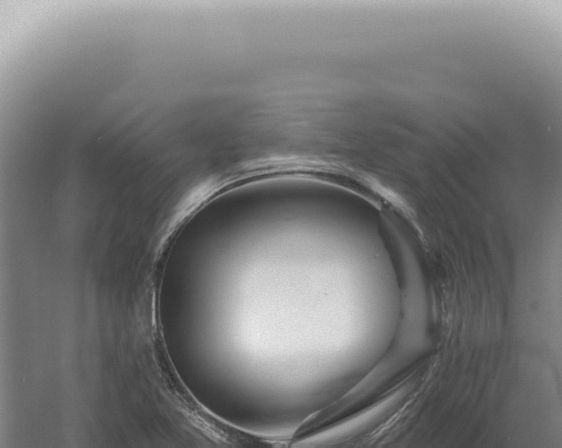 X0000060581365200511101645