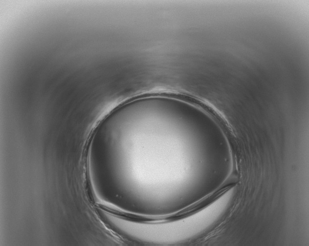 X0000060581367200511101645