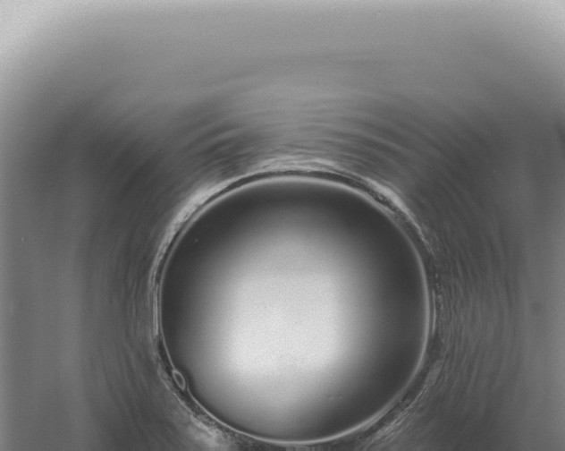 X0000060581371200511101645