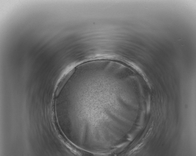 X0000060581373200511101645