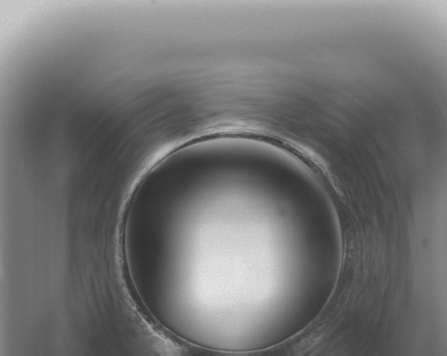 X0000060581375200511101644