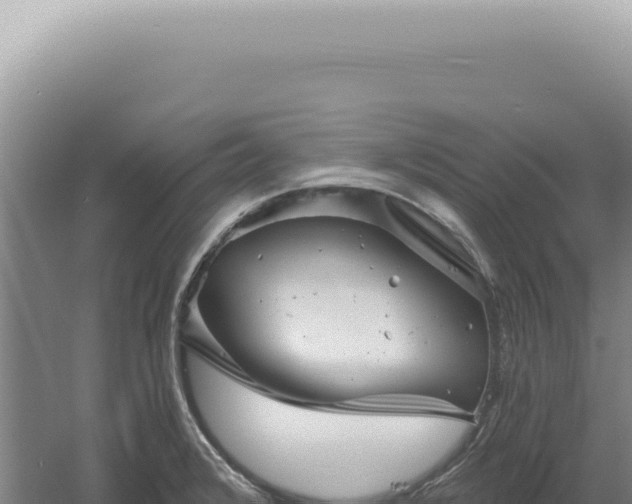 X0000060581376200511101644