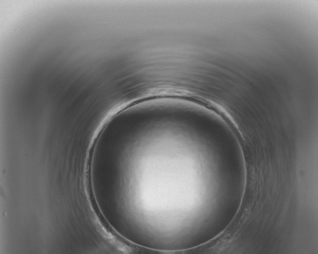 X0000060581379200511101644