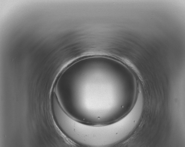 X0000060581380200511101644