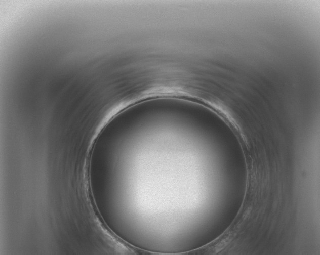 X0000060581382200511101644