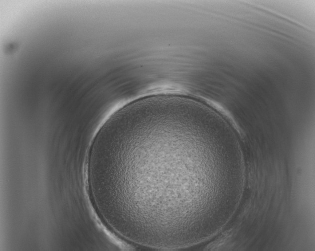 X0000060581383200511101644