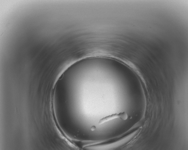 X0000060581390200511101644