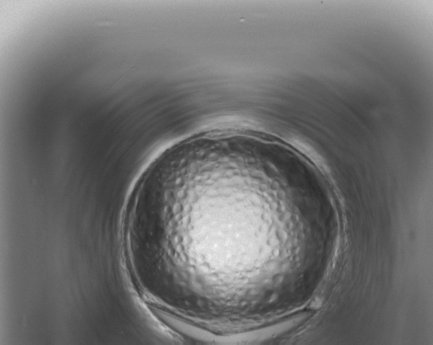 X0000060581392200511101644