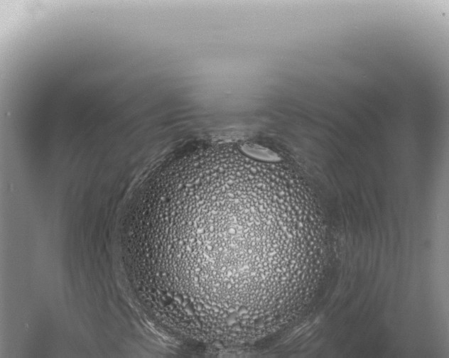 X0000060581393200511101643