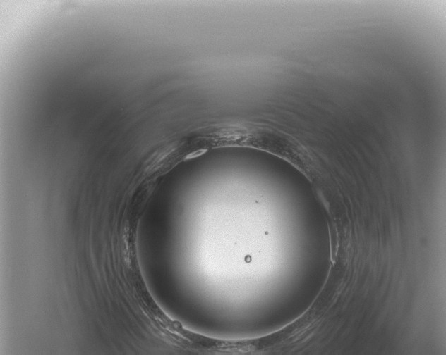 X0000060581394200511101643