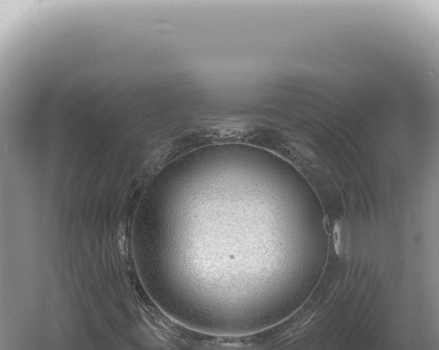 X0000060581395200511101643