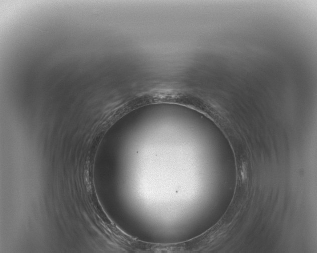 X0000060581396200511101643