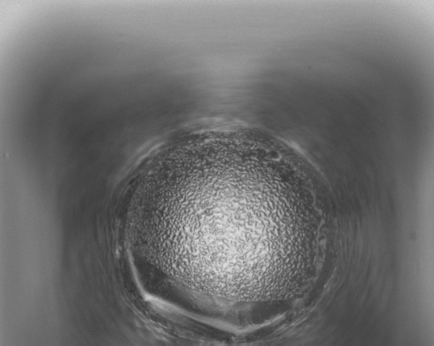 X0000060581399200511101643