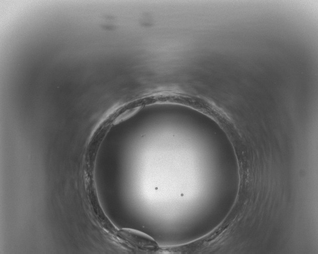 X0000060581400200511101643