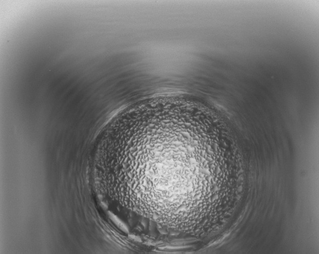 X0000060581401200511101644