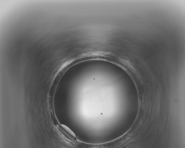 X0000060581404200511101644