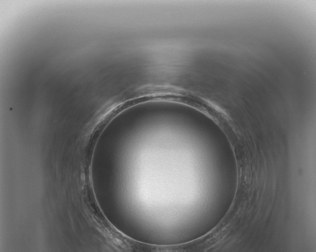 X0000060581407200511101644